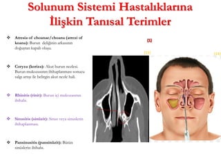 Solunum Sistemi Hastalıklarına
İlişkin Tanısal Terimler
 Atresia of choanae/choana (atrezi of
koana): Burun deliğinin arkasının
doğuştan kapalı oluşu.
 Coryza (koriza): Akut burun nezlesi.
Burun mukozasının iltihaplanması sonucu
salgı artışı ile belirgin akut nezle hali.
 Rhinitis (rinit): Burun içi mukozasının
iltihabı.
 Sinusitis (sinüzit): Sinus veya sinuslerin
iltihaplanması.
 Pansinusitis (pansinüzit): Bütün
sinüslerin iltihabı.
(14)
(15)
 