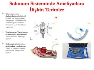 Solunum Sisteminde Ameliyatlara
İlişkin Terimler
 Cricotracheotomy
(krikotrakeotomi): Krikoid
kıkırdak aracılığıyla trakeaya
kesit yapma, krikoid kıkırdak
üzerinden geçrekleştirilen
trakeotomi (Acil durumlarda
uygulanır).
 Tracheotomy /Tracheostomy
(trakeotomi / trakeostomi):
Trakeadan vücut dışına ağız
açılması.
 Endotracheal intubation
(endotrakeal entubasyon):
Trekea ve bronşlara bir tüp
yerleştirerek hava yolunun
açılması.
(33) (34)
(35) (36)
 