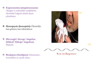  Expectoration (ekspektorasyon):
Akciğer ve trakeadaki maddelerin,
öksürükle balgam olarak dışarı
çıkarılması.
 Hemoptysis (hemoptizi): Öksürükle
kan gelmesi, kan tükürülmesi.
 Hiccough/ hiccup/ singultus
(hikkaf/ hikkap/ singultus):
Hıçkırık.
 Bradypnea (bradipne): Solunumun,
normalden az sayıda oluşu.
(45)
(46)
 