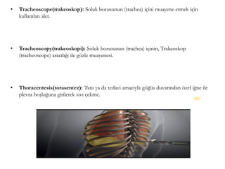 • Tracheoscope(trakeoskop): Soluk borusunun (trachea) içini muayene etmek için
kullanılan alet.
• Tracheoscopy(trakeoskopi): Soluk borusunun (trachea) içinin, Trakeoskop
(tracheoscope) aracılığı ile gözle muayenesi.
• Thoracentesis(torasentez): Tanı ya da tedavi amacıyla göğüs duvarından özel iğne ile
plevra boşluğuna girilerek sıvı çekme.
(43)
 