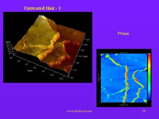 Untreated Hair - 1 Phase 