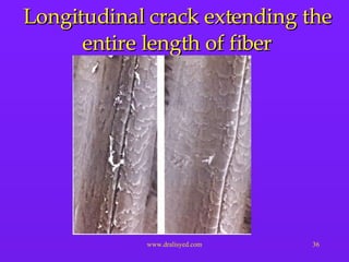 Longitudinal crack extending the entire length of fiber 