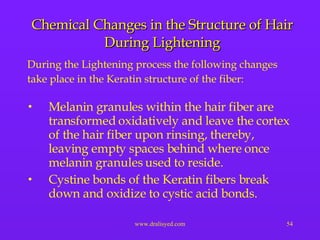 Chemical Changes in the Structure of Hair During Lightening During the Lightening process the following changes take place in the Keratin structure of the fiber: Melanin granules within the hair fiber are transformed oxidatively and leave the cortex of the hair fiber upon rinsing, thereby, leaving empty spaces behind where once melanin granules used to reside. Cystine bonds of the Keratin fibers break down and oxidize to cystic acid bonds. 