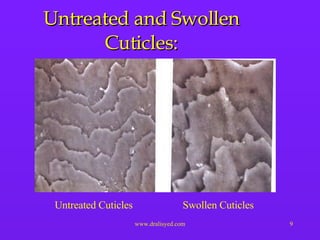 Untreated and Swollen Cuticles: Untreated Cuticles Swollen Cuticles 