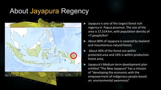 Climate Change Land-Based Mitigation Planning and Implementation in Jayapura Regency, Papua, Indonesia