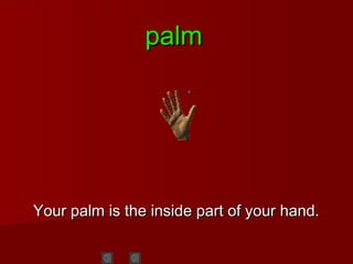 palmpalm
Your palm is the inside part of your hand.Your palm is the inside part of your hand.
 
