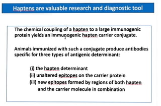 haptens and epitopes in antigen and immunology | PDF