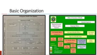 Basic Organization
 