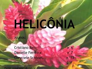 Helicônia Alunos: Cristiano Reis;                            n°6 Danielle Ferreira;                       n°7  Gleyciele Schissel.                     n°13 2°F Fonte: ceasacampinas.com.br 