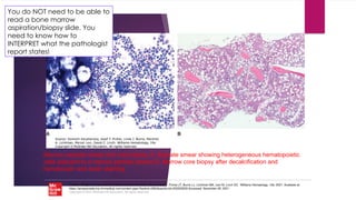 2 Hematology Labs Review for PA students -VP (1).pptx