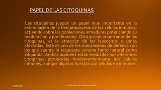 Las citoquinas juegan un papel muy importante en la
estimulación de la hematopoyesis de las células inmunes,
actuando sobre las poblaciones inmaduras potenciando su
maduración y proliferación. Otra acción importante de las
citoquinas, es la atracción de los leucocitos a zonas
afectadas. Este es uno de los mecanismos de defensa con
los que cuenta la respuesta inmune tanto natural como
adquirida. Ambas acciones están mediadas por diferentes
citoquinas producidas fundamentalmente por células
inmunes, aunque algunas lo están por células no inmunes.

23/08/2013

 