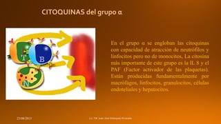 CITOQUINAS del grupo α

En el grupo α se engloban las citoquinas
con capacidad de atracción de neutrófilos y
linfocitos pero no de monocitos, La citosina
más importante de este grupo es la IL 8 y el
PAF (Factor activador de las plaquetas).
Están producidas fundamentalmente por
macrófagos, linfocitos, granulocitos, células
endoteliales y hepatocitos.

23/08/2013

 