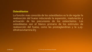 Osteoblastos
La función mas conocida de los osteoblastos es la de regular la
reabsorción del hueso induciendo la expansión, maduración y
activación de los precursores de los osteoclastos. Los
osteoblastos son el blanco primario de los estímulos de
reabsorción del hueso, como las prostaglandinas y la 1,25dihidroxivitamina D3

23/08/2013

 
