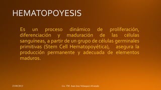 Es un proceso dinámico de proliferación,
diferenciación y maduración de las células
sanguíneas, a partir de un grupo de células germinales
primitivas (Stem Cell Hematopoyética), asegura la
producción permanente y adecuada de elementos
maduros.

23/08/2013

Lic. TM Juan Jose Velasquez Alvarado

 