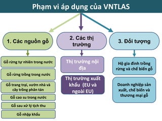 1. Các nguồn gỗ
2. Các thị
trường
3. Đối tượng
Gỗ rừng tự nhiên trong nước
Gỗ rừng trồng trong nước
Gỗ trang trại, vườn nhà và
cây trồng phân tán
Gỗ cao su trong nước
Gỗ nhập khẩu
Gỗ sau xử lý tịch thu
Thị trường nội
địa
Thị trường xuất
khẩu (EU và
ngoài EU)
Hộ gia đình trồng
rừng và chế biến gỗ
Doanh nghiệp sản
xuất, chế biến và
thương mại gỗ
Phạm vi áp dụng của VNTLAS
 