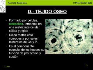 D.-  TEJIDO ÓSEO Formado por células,  osteocitos , inmersos en una matriz intercelular sólida y rígida Dicha matriz está compuesta por sales minerales de Ca y P. Es el componente esencial de los huesos su función de protección y sostén 
