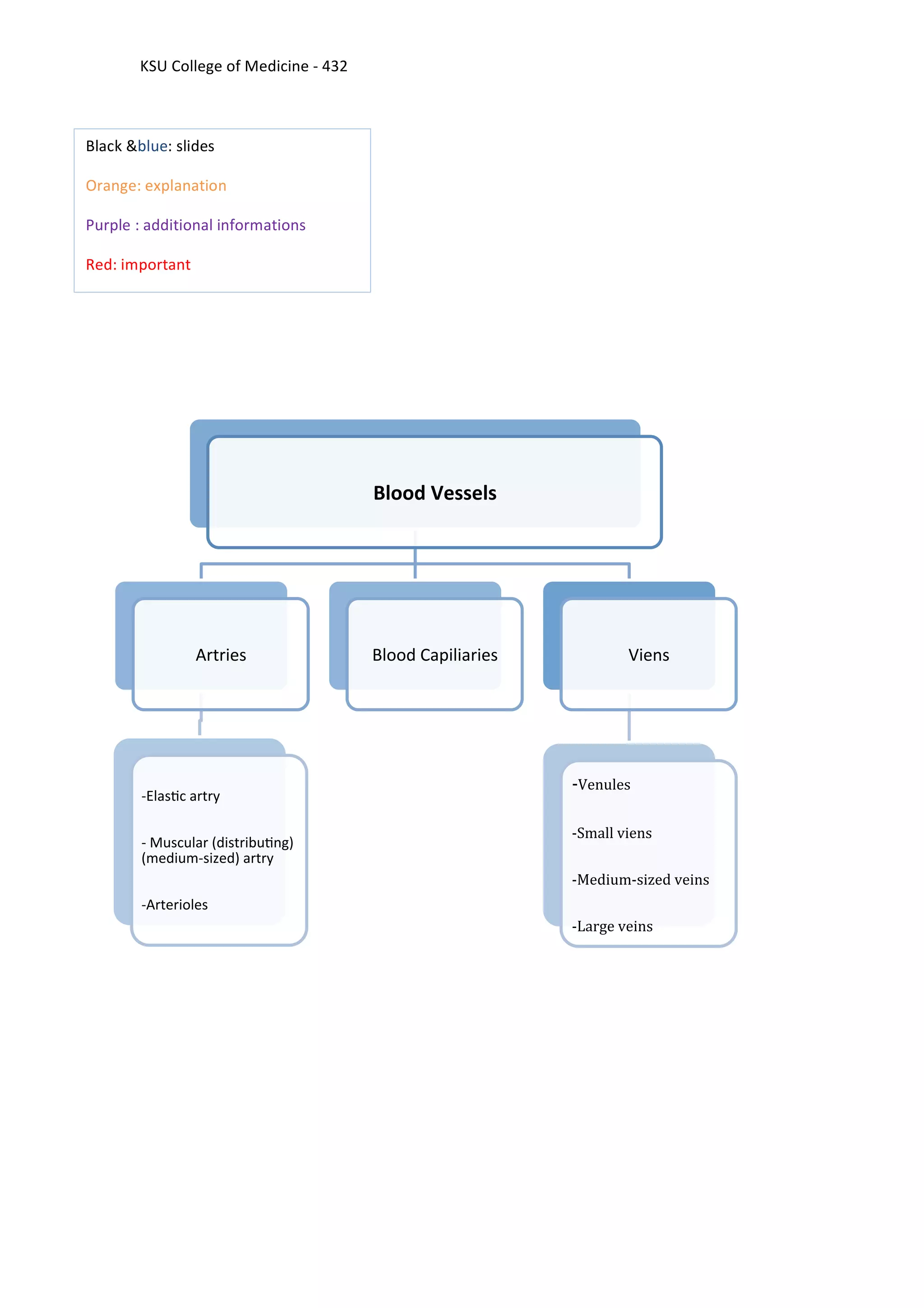 2 Histology Of Blood Vessels PDF 2 histology of blood vessels pdf
