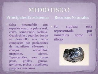 La pugna por el poder entre los diferentes caudillos de la Revolución repercuten en el sur de Veracruz. Las auto-llamadas fuerzas maderistas carrancistas o zapatistas se enfrentan entre sí, generando una gran inestabilidad social. Por eso en 1917 el General Salvador Alvarado ordena que los habitantes del municipio se concentraran en la cabecera, para protegerse de los asaltos constantes de los grupos seudo-revolucionarios. ¿Qué ocurrió de 1910 a 1920?