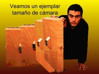 Veamos un ejemplar
 tamaño de cámara
 