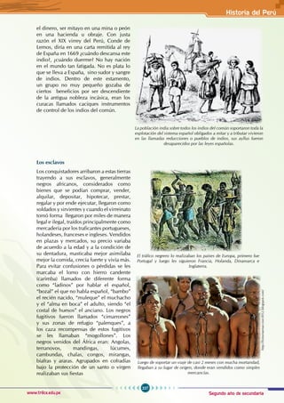 Segundo año de secundaria
227
Historia del Perú
www.trilce.edu.pe
el dinero, ser mitayo en una mina o peón
en una hacienda u obraje. Con justa
razón el XIX virrey del Perú, Conde de
Lemos, diría en una carta remitida al rey
de España en 1669 ¿cuándo descansa este
indio?, ¿cuándo duerme? No hay nación
en el mundo tan fatigada. No es plata lo
que se lleva a España, sino sudor y sangre
de indios. Dentro de este estamento,
un grupo no muy pequeño gozaba de
ciertos beneficios por ser descendiente
de la antigua nobleza incásica, eran los
curacas llamados caciques instrumentos
de control de los indios del común.
La población india sobre todos los indios del común soportaron toda la
explotación del sistema español obligados a mitar y a tributar vivieron
en las llamadas reducciones o pueblos de indios, sus ayllus fueron
desaparecidos por las leyes españolas.
http://historiaenaccion3052.blogspot.com/
Luego de soportar un viaje de casi 2 meses con mucha mortandad,
llegaban a su lugar de origen, donde eran vendidos como simples
mercancías.
Los esclavos
Los conquistadores arribaron a estas tierras
trayendo a sus esclavos, generalmente
negros africanos, considerados como
bienes que se podían comprar, vender,
alquilar, depositar, hipotecar, prestar,
regalar y por ende ejecutar, llegaron como
soldados y sirvientes y cuando el virreinato
tomó forma llegaron por miles de manera
legal e ilegal, traídos principalmente como
mercadería por los traficantes portugueses,
holandeses, franceses e ingleses. Vendidos
en plazas y mercados, su precio variaba
de acuerdo a la edad y a la condición de
su dentadura, masticaba mejor asimilaba
mejor la comida, crecía fuerte y vivía más.
Para evitar confusiones o pérdidas se les
marcaba el lomo con hierro candente
(carimba) llamados de diferente forma
como “ladinos” por hablar el español,
“bozal” el que no habla español, “bambo”
el recién nacido, “muleque” el muchacho
y el “alma en boca” el adulto, siendo “el
costal de huesos” el anciano. Los negros
fugitivos fueron llamados “cimarrones”
y sus zonas de refugio “palenques”, a
los caza recompensas de estos fugitivos
se les llamaban “mogollones”. Los
negros venidos del África eran: Angolas,
terranovos, mandingas, lúcumes,
cambundas, chalas, congos, mirangas,
biafras y araras. Agrupados en cofradías
bajo la protección de un santo o virgen
realizaban sus fiestas
El tráfico negrero lo realizaban los países de Europa, primero fue
Portugal y luego les siguieron Francia, Holanda, Dinamarca e
Inglaterra.
 