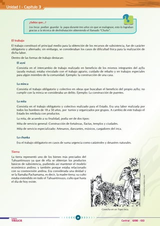 28
Colegios
TRILCE Central: 6198 - 100
El trabajo
El trabajo constituyó el principal medio para la obtención de los recursos de subsistencia, fue de carácter
obligatorio y alternado; sin embargo, se consideraban los casos de dificultad física para la realización de
dicha labor.
Dentro de las formas de trabajo destacan:
El ayni
Consistía en el intercambio de trabajo realizado en beneficio de los mismos integrantes del ayllu
(ayuda mutua); estaba vinculado con el trabajo agrario, cuidado de rebaño y en trabajos especiales
para algún miembro de la comunidad. Ejemplo: la construcción de una casa.
La minca
Consistía el trabajo obligatorio y colectivo en obras que buscaban el beneficio del propio ayllu; no
cumplir con la minca se consideraba un delito. Ejemplo: La construcción de puentes.
La mita
Consistía en el trabajo obligatorio y colectivo realizado para el Estado. Era una labor realizada por
todos los hombres de 18 a 50 años, por turnos y organizados por grupos. A cambio de este trabajo el
Estado les retribuía con productos.
La mita, de acuerdo a su finalidad, podía ser de dos tipos:
Mita de servicio general: Construcción de fortalezas, llactas, templos y ciudades.
Mita de servicio especializado: Artesanos, danzantes, músicos, cargadores del inca.
La chunka
Era el trabajo obligatorio en casos de suma urgencia como catástrofes y desastres naturales.
Tierra
La tierra representó uno de los bienes más preciados del
Tahuantinsuyo ya que de ella se obtenían los productos
básicos de subsistencia, pudiendo así mantener el modelo
económico andino; y también porque estaba relacionado
con su cosmovisión andina. Era considerada una deidad y
se la llamaba Pachamama, es decir, la madre tierra; su culto
estaba extendido en todo el Tahuantinsuyo, culto que hasta
el día de hoy existe.
cshistorica.wordpress.com
Cosecha en un Topo Inca.
¿Sabías que...?
Los Incas podían guardar la papa durante tres años sin que se malograse, esto lo lograban
gracias a la técnica de deshidratación obteniendo el llamado “Chuño”.
Unidad I - Capítulo 3
 