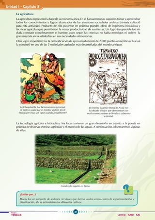 30
Colegios
TRILCE Central: 6198 - 100
La agricultura
La agricultura representó la base de la economía inca. En el Tahuantinsuyo, supieron tomar y aprovechar
todos los conocimientos y logros alcanzados de las anteriores sociedades andinas (síntesis cultural)
para esta actividad. Producto de ello pusieron en práctica grandes obras de ingeniería hidráulica y
técnicas agrícolas que permitieron la mayor productividad de sus tierras. Un logro insuperable fue sin
duda combatir completamente el hambre, pues según las crónicas no había mendigos ni pobres la
gran mayoría vivía satisfechas en sus necesidades alimenticias.
Otro logro importante fue la domesticación de aproximadamente de 2 000 plantas alimenticias, la cual
la convirtió en una de las 5 sociedades agrícolas más desarrolladas del mundo antiguo.
La tecnología agrícola e hidráulica: los Incas tuvieron un gran desarrollo en cuanto a la puesta en
práctica de diversas técnicas agrícolas y el manejo de las aguas. A continuación, observaremos algunas
de ellas:
Unidad I - Capítulo 3
¿Sabías que...?
Moray fue un conjunto de andenes circulares que fueron usados como centro de experimentación y
planificación, ahí se aclimataban los diferentes cultivos.
La Chaquitaclla fue la herramienta principal
de cultivo usado por el hombre andino desde
épocas pre incas ¿se sigue usando actualmente?
El cronista Guamán Poma de Ayala nos
ha dejado dibujos que demuestran con
mucha certeza cómo se llevaba a cabo esta
actividad.
Canales de regadio en Tipón.
 