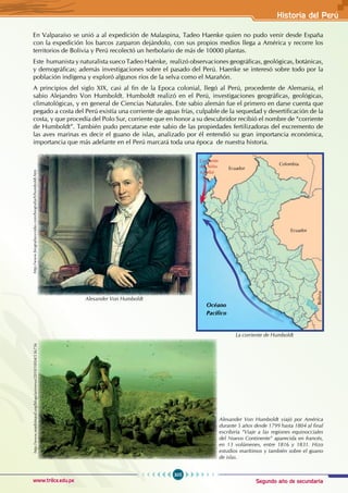 Segundo año de secundaria
305
Historia del Perú
www.trilce.edu.pe
En Valparaíso se unió a al expedición de Malaspina, Tadeo Haenke quien no pudo venir desde España
con la expedición los barcos zarparon dejándolo, con sus propios medios llega a América y recorre los
territorios de Bolivia y Perú recolectó un herbolario de más de 10000 plantas.
Este humanista y naturalista sueco Tadeo Haénke, realizó observaciones geográficas, geológicas, botánicas,
y demográficas; además investigaciones sobre el pasado del Perú. Haenke se interesó sobre todo por la
población indígena y exploró algunos ríos de la selva como el Marañón.
A principios del siglo XIX, casi al fin de la Epoca colonial, llegó al Perú, procedente de Alemania, el
sabio Alejandro Von Humboldt. Humboldt realizó en el Perú, investigaciones geográficas, geológicas,
climatológicas, y en general de Ciencias Naturales. Este sabio alemán fue el primero en darse cuenta que
pegado a costa del Perú existía una corriente de aguas frías, culpable de la sequedad y desertificación de la
costa, y que procedía del Polo Sur, corriente que en honor a su descubridor recibió el nombre de “corriente
de Humboldt”. También pudo percatarse este sabio de las propiedades fertilizadoras del excremento de
las aves marinas es decir el guano de islas, analizado por él entendió su gran importancia económica,
importancia que más adelante en el Perú marcará toda una época de nuestra historia.
http://www.madrimasd.org/blogs/universo/2010/10/04/136756
Alexander Von Humboldt viajó por América
durante 5 años desde 1799 hasta 1804 al final
escribiría “Viaje a las regiones equinocciales
del Nuevo Continente” aparecida en francés,
en 13 volúmenes, entre 1816 y 1831. Hizo
estudios marítimos y también sobre el guano
de islas.
Colombia
Ecuador
Ecuador
Corriente
del Niño
(cálida)
Océano
Pacífico
Bolivia
La corriente de Humboldt
http://www.biografiasyvidas.com/biografia/h/humboldt.htm
Alexander Von Humboldt
 