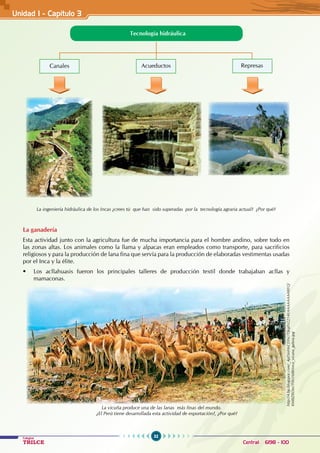 32
Colegios
TRILCE Central: 6198 - 100
Unidad I - Capítulo 3
Tecnología hidráulica
Canales Represas
Acueductos
La ingeniería hidráulica de los Incas ¿crees tú que han sido superadas por la tecnología agraria actual? ¿Por qué?
La ganadería
Esta actividad junto con la agricultura fue de mucha importancia para el hombre andino, sobre todo en
las zonas altas. Los animales como la llama y alpacas eran empleados como transporte, para sacrificios
religiosos y para la producción de lana fina que servía para la producción de elaboradas vestimentas usadas
por el Inca y la élite.
• Los acllahuasis fueron los principales talleres de producción textil donde trabajaban acllas y
mamaconas.
La vicuña produce una de las lanas más finas del mundo.
¿El Perú tiene desarrollada esta actividad de exportación?, ¿Por qué?
http://4.bp.blogspot.com/_4pDinHnCDNc/TJkqIN2214I/AAAAAAAABFQ/
KM8JZRDm7F0/s1600/inca_vicuna_galera.jpg
 
