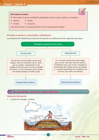 34
Colegios
TRILCE Central: 6198 - 100
Manejo de información
1. A partir de la imagen, conteste:
Unidad I - Capítulo 3
Principios económicos de los Incas
reciprocidad simétrica Reciprocidad asimétrica
Redistribución
Se trata de un intercambio continuo de
trabajo entre los miembros de un ayllu,
que se ayudan mutuamente con la
obligación de devolver la misma cantidad
de fuerza en otro momento; quien eludía
este trabajo tampoco recibía ayuda.
Es el mismo sistema de reciprocidad,
pero a nivel más alto: entre los ayllus y
el Gobierno Inca, por el cual el Estado se
beneficiaba del trabajo de la comunidad
y, a cambio redistribuía los excedentes y/o
socorría a los ayllus necesitados.
Reciprocidad
Para tomar en cuenta:
El Perú posee la mayor cantidad de auquénidos entre los países andinos, así tenemos:
• Alpacas • Llamas
• Vicuñas • Guanacos
¿Por qué razones no se aprovecha hoy en día esta ganadería andina?
Principios económicos: reciprocidad y redistribución
La economía del Tahuantinsuyo funcionó en base de la combinación de los siguientes principios:
Evaluando nuestro aprendizaje
Tierra orgánica
Grama o cascajo
Arcilla
Tierra arenosa
Base de piedra
con arcilla
Tierra natural
 