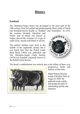 History<br />Scotland<br />3629025962660The Aberdeen-Angus breed was developed in the early part of the 19th century from the polled and predominantly black cattle of North east Scotland known locally as “doddies” and “hummlies”. In 1553, the counties Scottish Aberdeen and Forfar, part of which was known as Angus, proved the existence of a type of cattle rustic, mocha with black or red fur.<br />The earliest families trace back to the middle of the eighteenth century but it was much later that the Polled Cattle Herd Book (1862) was published and The Aberdeen-Angus Cattle Society (1879) was founded, originally known as the Polled Cattle Society.<br />-152400422275The breed’s establishment was entirely due to the efforts of three very progressive lairds and farmers of that time.<br />Hugh Watson became tenant of Keillor Farm in Angus in 1808. He gathered stock widely and produced cattle of outstanding quality and character. <br />-952547625McCombieWilliam McCombie took the farm of Tillyfour in Aberdeenshire in 1824 and founded a herd from predominantly Keillor bloodlines. His well documented close breeding produced outstanding cattle that he showed widely in England and France. The reputation of the Aberdeen-Angus breed was founded on the efforts of the McCombie family. <br />471487522860Sir George Macpherson-Grant returned to his inherited estate at Ballindalloch, on the River Spey, from Oxford in 1861 and took up the refining of the breed that was to be his life’s work for almost 50 years. <br />Macpherson-GrantThe work of these three pioneers spanned a century, since when Watson began operations in 1808, Macpherson-Grant died in 1907<br />-9525021590By line breeding and selection for type, these early pioneers established the foundation for what is arguably the greatest beef breed in the world. <br />In those early days Britain was regarded as the fount of Aberdeen-Angus genetics and leading world breeders came here to source stock. The export market has continued to favour the Aberdeen-Angus breed and now breeders look worldwide to source the very best genetics.<br />Australia & New Zealand<br />279082516262352786380416560First Angus cattle arrive in 1875 to New Zealand by the New Zealand and Australian Land Co. Included were three bulls and four cows. Second shipment of two bulls and three cows arrive in 1883. The New Zealand Aberdeen Angus Cattle Breeders Association was inaugurated in Hastings in 1918. In 1969 the Association changed its name to The New Zealand Angus Association. The Angus Society of Australia was founded in 1922. <br />Argentina<br />In 1879, the landowner Carlos Guerrero was the first Argentine to enter the country animals Aberdeen-Angus pedigree pure enrolled in the English Herd Book, the bull quot;
Virtuosoquot;
 and heifers quot;
Aunt Leequot;
 and quot;
Cinderella.quot;
 <br />2409825375285A great boost for the race meant the foundation on September 18, 1920, the Corporation of Aberdeen-Angus Argentina (today, Asociación Argentina de Angus). The pedigree copies are registered in the Herd Book Argentina since 1901.<br />U.S.A.<br />3829050511810The first Angus cattle were imported into the U.S.A. in 1873. George Grant, a Kansas rancher wanted to develop the Angus as his primary breed and introduce it to the region as an ideal beef option but the heavy importation of Angus cattle direct from Scotland followed, at its peak 1200 cattle were brought in from 1878 to 1883.<br />The American Angus Association was founded in Chicago, Illinois, on November 21 in 1883, with 60 members. Its original name was shortened in the 1950s from the American Aberdeen-Angus Breeders' Association.<br />These are the first Countries and Societies who trusted in Aberdeen Angus Cattle as motor for regional development and are now the main providers of breed genetic worldwide.<br />