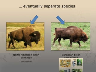 History and fundamentals of evolutionary theory | PPTX