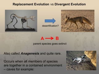 History and fundamentals of evolutionary theory | PPTX