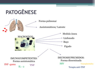 PATOGÊNESE
Forma pulmonar
Assintomáticos/ Latente
Medula óssea

MACROFÁGO

Linfonodo
Baço
Fígado

IMUNOCOMPETENTES:
Forma assintomática
INF -gama
TNF
IL - 2

IMUNOSSUPRUMIDOS:
Forma disseminada
HIV
Transplantados
Terapia anti-TNF

 
