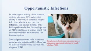 Opportunistic Infections
In reducing the activity of the immune
system, late-stage HIV reduces the
ability of the body to combat a range of
infections, diseases, and cancers.
Infections that caused minimal or no
health problems before the development
of AIDS might pose a serious health risk
once the condition has weakened the
immune system.
Medical professionals refer to these as
opportunistic infections (OIs). Once any
of these infections occur, a doctor will
diagnose AIDS.
Toxoplasmosis, found in cat and animal feces, is
a dangerous opportunistic infection for people
who have AIDS.
 