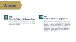 Soluções 
GSA 
Gestão Sistêmica Agropecuária 
Gestão sistêmica baseada nos pilares da 
produção de bovinos de corte (nutrição, 
sanidade, reprodução, genética, manejo) 
analisando os indicadores produtivos e 
econômicos tornando o sistema de 
produção competitivo, rentável e 
sustentável em curto, médio e longo 
prazos. Compõem essa solução, projetos 
de financiamento do Programa ABC – 
Agricultura de Baixo Carbono. 
PRD 
Plano de Redução de Desperdícios 
Visa a melhoria na performance e a 
maior rentabilidade, garantindo 
crescimento de forma sustentada e 
contínua. 
 