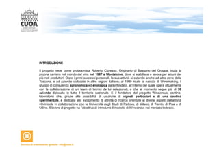 INTRODUZIONE 
Il progetto vede come protagonista Roberto Cipresso. Originario di Bassano del Grappa, inizia la 
propria carriera nel mondo del vino nel 1987 a Montalcino, dove si stabilisce e lavora per alcuni dei 
più noti produttori. Dopo i primi successi personali, la sua attività si estende anche ad altre zone della 
Toscana, e ad aziende collocate in altre regioni italiane; al 1999 risale la nascita di Winemaking, il 
gruppo di consulenza agronomica ed enologica da lui fondato, all’interno del quale opera attualmente 
con la collaborazione di un team di tecnici da lui selezionati, e che al momento segue più di 30 
aziende dislocate in tutto il territorio nazionale. E il fondatore del progetto Winecircus, cantina-laboratorio 
che, grazie alla possibilità di usufruire di vigneti particolari e di una cantina 
sperimentale, è dedicata allo svolgimento di attività di ricerca orientate ai diversi aspetti dell’attività 
vitivinicola in collaborazione con le Università degli Studi di Padova, di Milano, di Trento, di Pisa e di 
Udine. Il lavoro di progetto ha l’obiettivo di introdurre il modello di Winecircus nel mercato tedesco. 
 