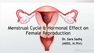 Menstrual Cycle & Hormonal Effect on
Female Reproduction
Dr. Sara Sadiq
(MBBS, M.Phil)
 