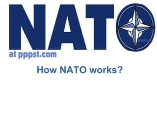 How NATO works?
 