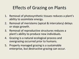 Effects of Grazing on Plants
1. Removal of photosynthetic tissues reduces a plant’s
   ability to assimilate energy.
2. Removal of meristems (apical & intercalary) delays
   or stops growth.
3. Removal of reproductive structures reduces a
   plant’s ability to produce new individuals.
4. Grazing is a natural ecological process and
   overgrazing occurred prior to humans.
5. Properly managed grazing is a sustainable
   enterprise, but destructive grazing can occur.
 