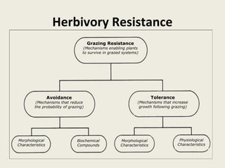 Herbivory Resistance
                                       Grazing Resistance
                                   (Mechanisms enabling plants
                                   to survive in grazed systems)




                  Avoidance                                             Tolerance
          (Mechanisms that reduce                              (Mechanisms that increase
         the probability of grazing)                            growth following grazing)




Morphological                   Biochemical           Morphological                  Physiological
Characteristics                 Compounds             Characteristics               Characteristics
 