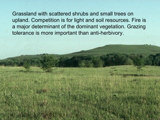 Grassland with scattered shrubs and small trees on
upland. Competition is for light and soil resources. Fire is
a major determinant of the dominant vegetation. Grazing
tolerance is more important than anti-herbivory.
 
