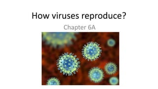 How viruses reproduce?
Chapter 6A
 