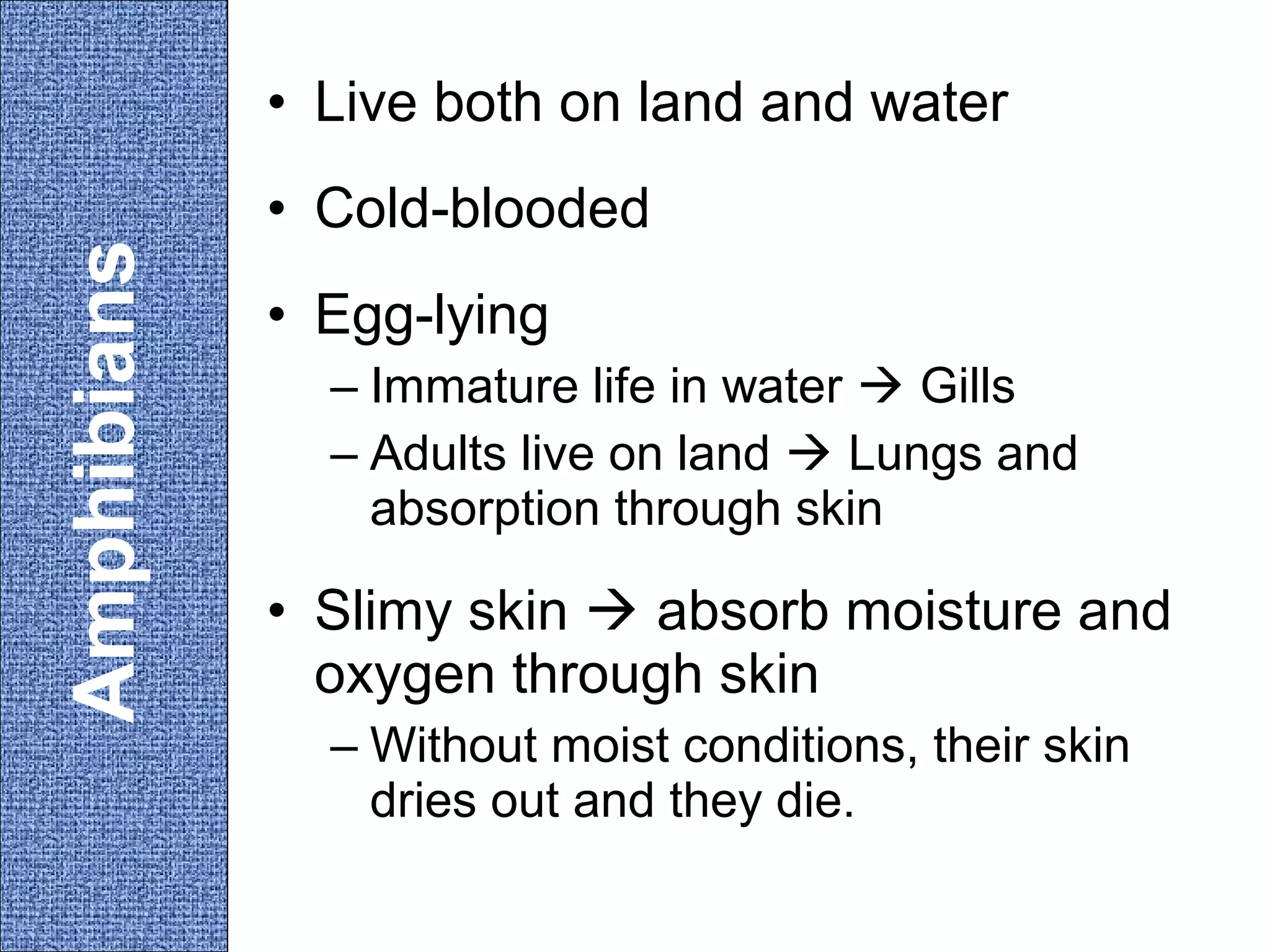 • Live both on land and water

Amphibians

• Cold-blooded
• Egg-lying
– Immature life in water  Gills
– Adults live on land  Lungs and
absorption through skin

• Slimy skin  absorb moisture and
oxygen through skin
– Without moist conditions, their skin
dries out and they die.

 