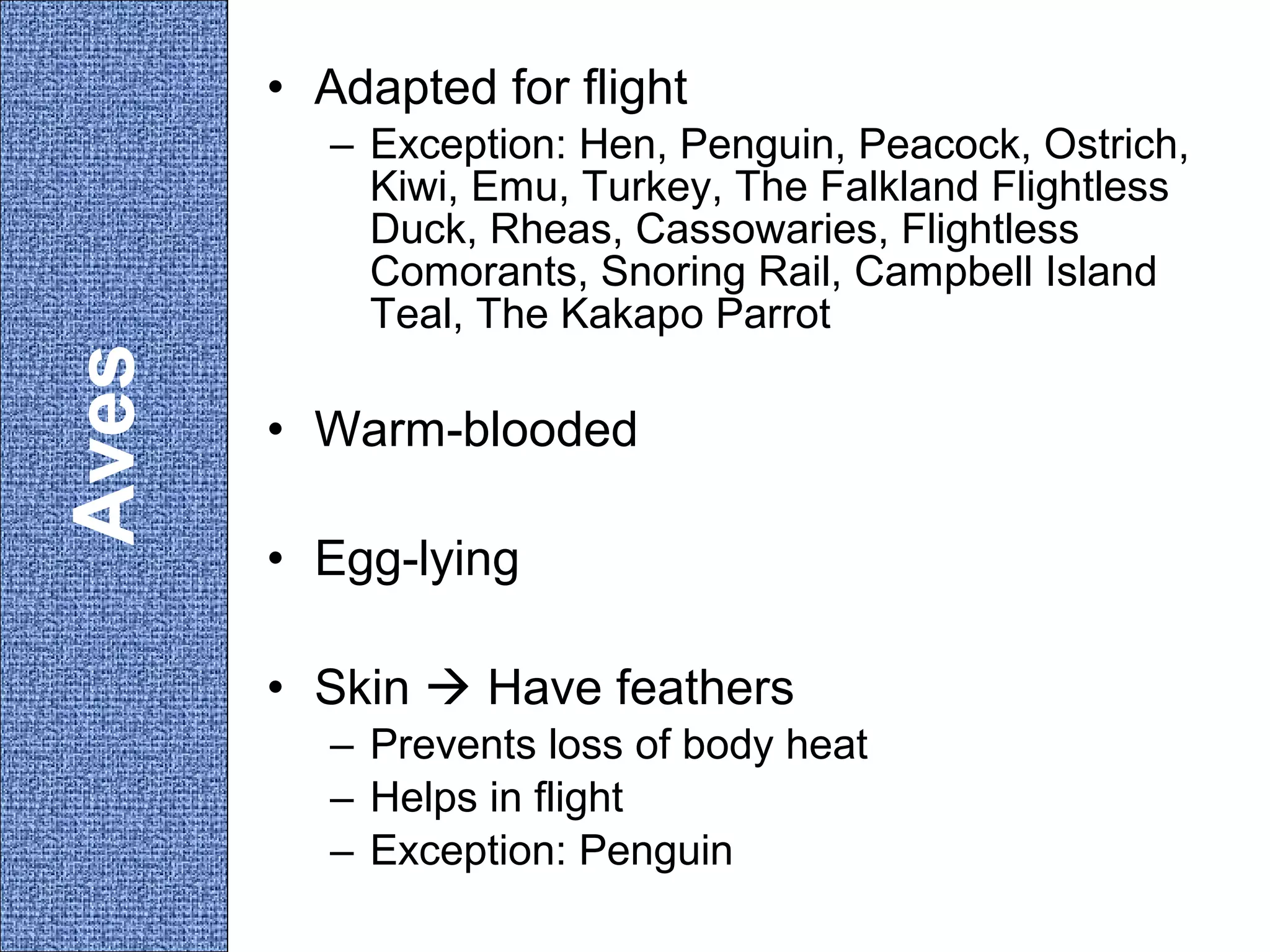 • Adapted for flight

Aves

– Exception: Hen, Penguin, Peacock, Ostrich,
Kiwi, Emu, Turkey, The Falkland Flightless
Duck, Rheas, Cassowaries, Flightless
Comorants, Snoring Rail, Campbell Island
Teal, The Kakapo Parrot

• Warm-blooded
• Egg-lying
• Skin  Have feathers
– Prevents loss of body heat
– Helps in flight
– Exception: Penguin

 