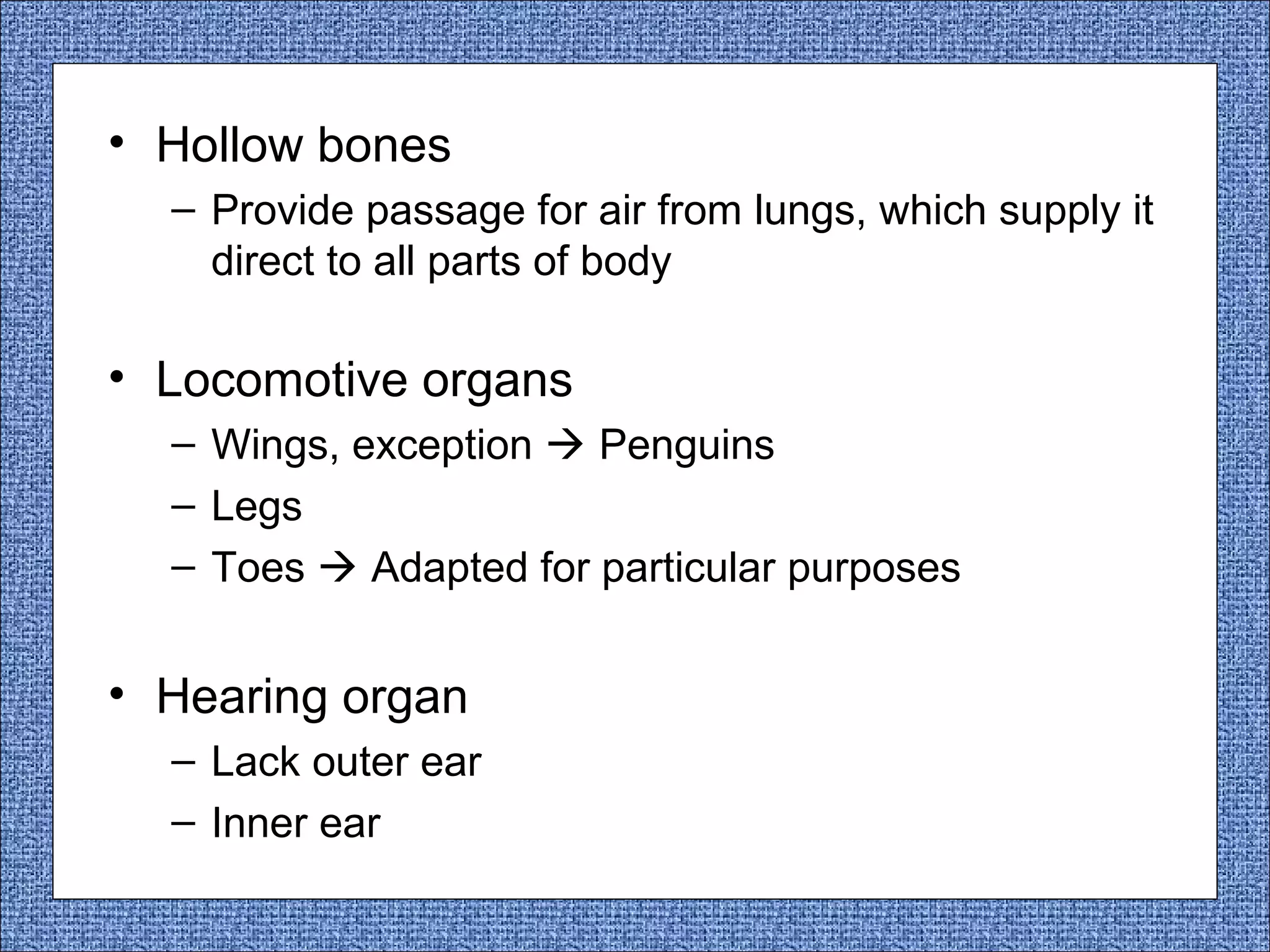 • Hollow bones
– Provide passage for air from lungs, which supply it
direct to all parts of body

• Locomotive organs
– Wings, exception  Penguins
– Legs
– Toes  Adapted for particular purposes

• Hearing organ
– Lack outer ear
– Inner ear

 