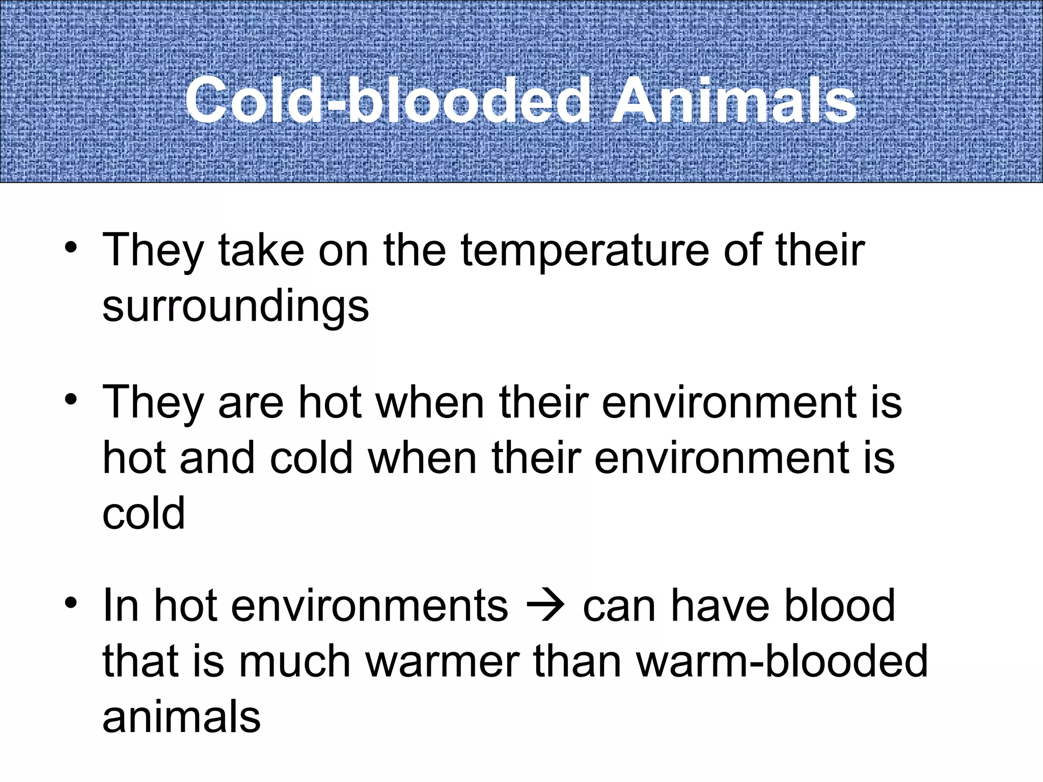 Cold-blooded Animals
• They take on the temperature of their
surroundings
• They are hot when their environment is
hot and cold when their environment is
cold
• In hot environments  can have blood
that is much warmer than warm-blooded
animals

 