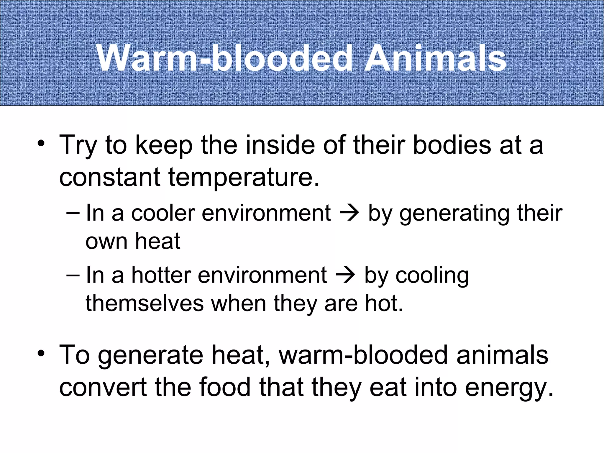 Warm-blooded Animals
• Try to keep the inside of their bodies at a
constant temperature.
– In a cooler environment  by generating their
own heat
– In a hotter environment  by cooling
themselves when they are hot.

• To generate heat, warm-blooded animals
convert the food that they eat into energy.

 