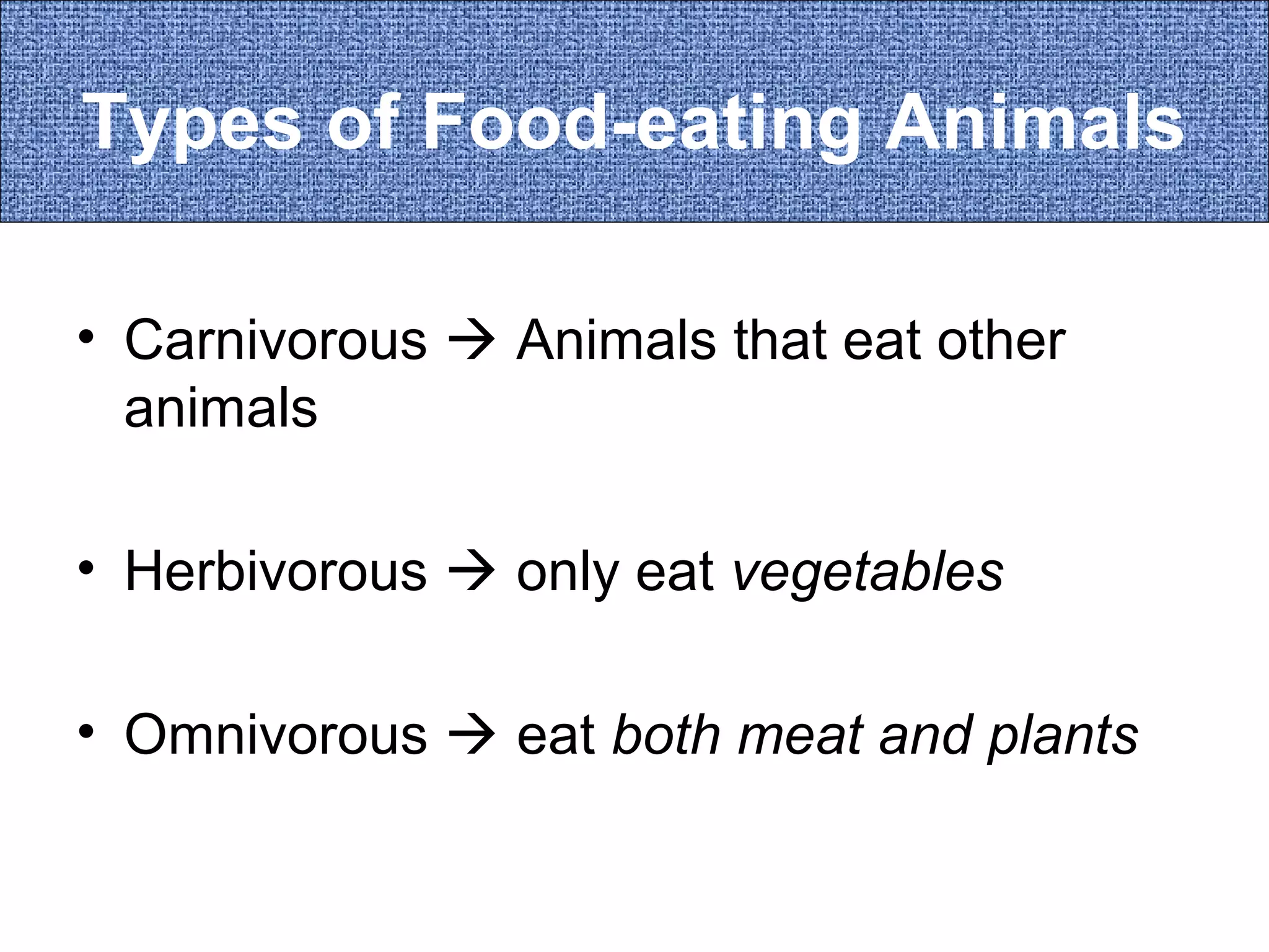 Types of Food-eating Animals
• Carnivorous  Animals that eat other
animals
• Herbivorous  only eat vegetables
• Omnivorous  eat both meat and plants

 