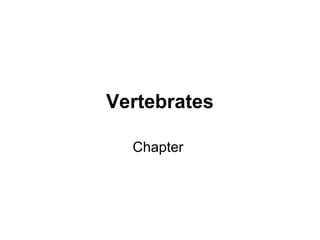 Vertebrates
Chapter

 