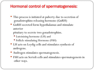 Hormonal control of spermatogenesis:
 This process is initiated at puberty due to secretion of
gonadotrophins releasing hormone (GnRH)
 GnRH secreted form hypothalamus and stimulate
anterior
pituitary to secrete two gonadotrophins.
 Luteinizing hormone (LH) and
 Follicle stimulating Hormone (FSH)
 LH acts on Leydig cells and stimulates synthesis of
androgens.
 Androgen stimulates spermatogenesis.
 FSH acts on Sertoli cells and stimulates spermatogenesis in
other ways.
 